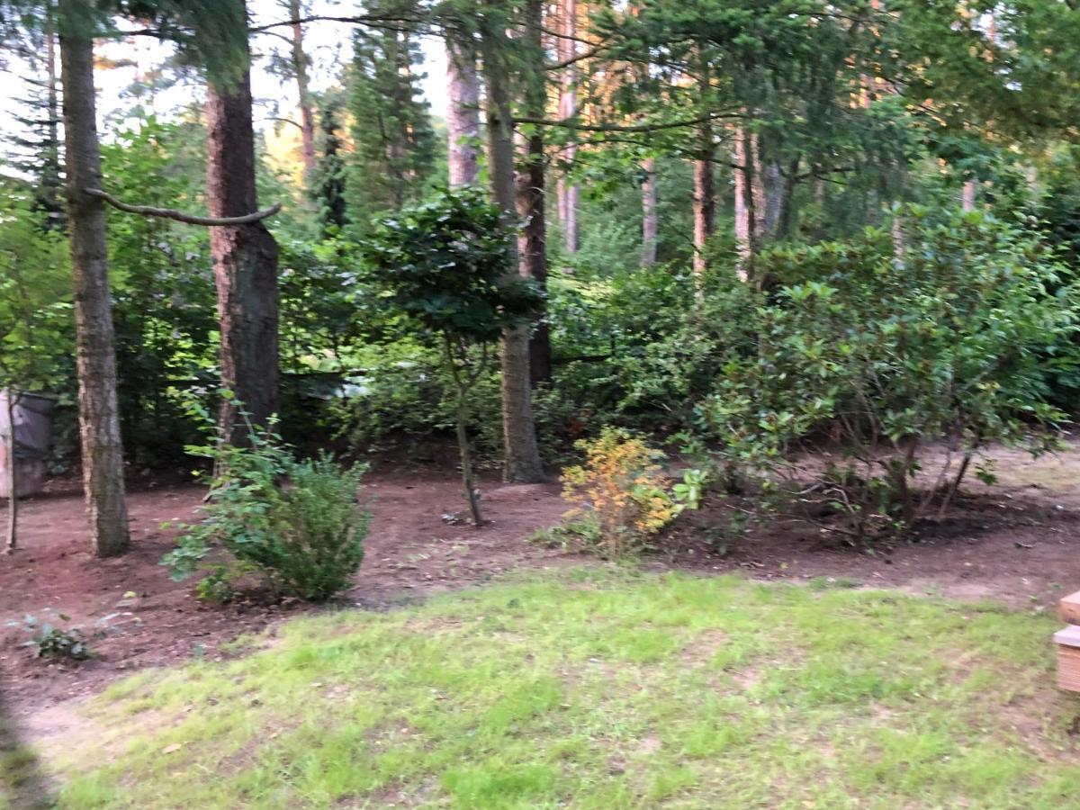 Ferienhaus Reetdach 1300Qm Privatgrundstueck Bootssteg Sauna Templin Luebbesee Uckermark Erholung Pur Seenplatte Petersdorf  외부 사진