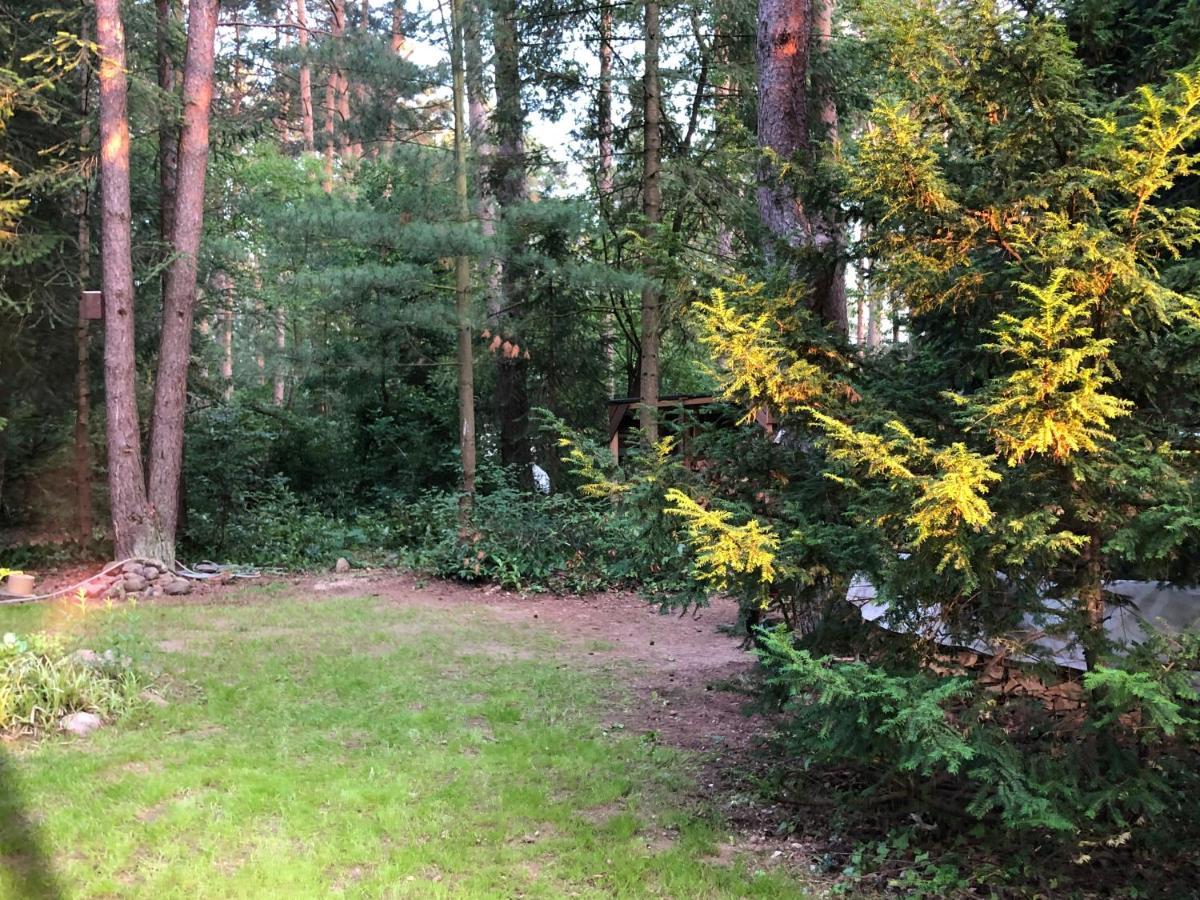 Ferienhaus Reetdach 1300Qm Privatgrundstueck Bootssteg Sauna Templin Luebbesee Uckermark Erholung Pur Seenplatte Petersdorf  외부 사진
