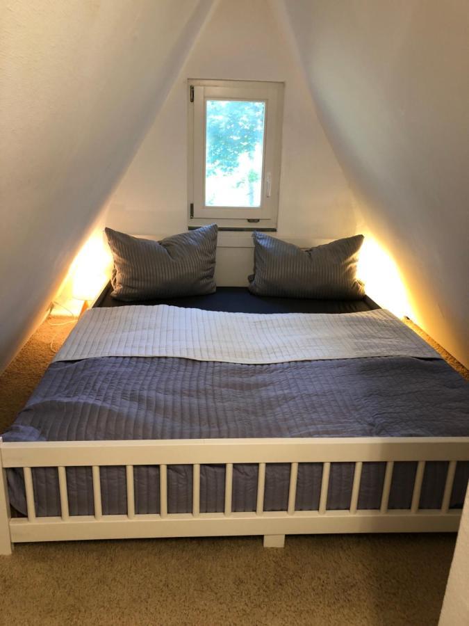 Ferienhaus Reetdach 1300Qm Privatgrundstueck Bootssteg Sauna Templin Luebbesee Uckermark Erholung Pur Seenplatte Petersdorf  외부 사진
